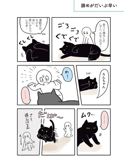 『黒猫ろんと暮らしたら２』より