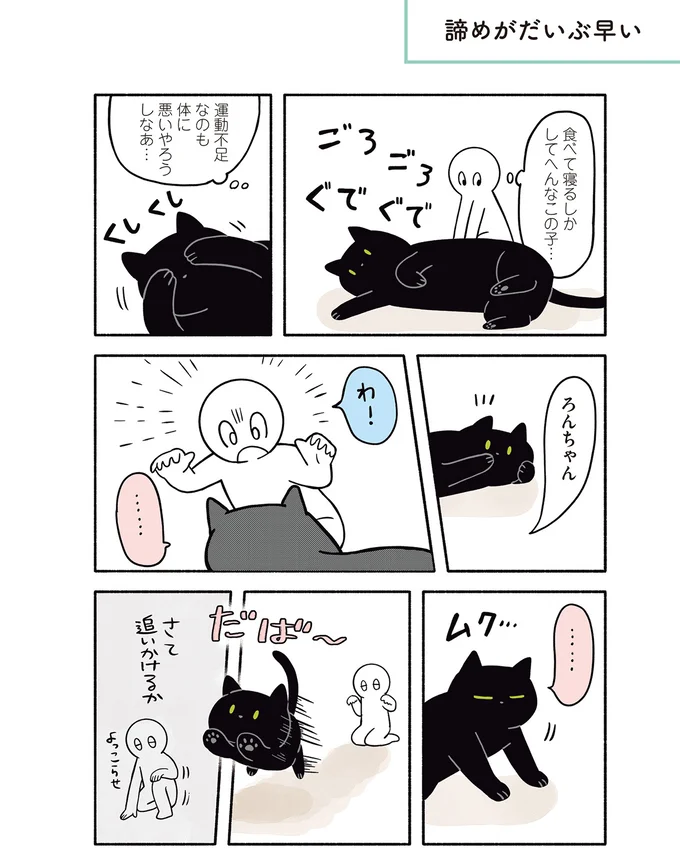 『黒猫ろんと暮らしたら２』より