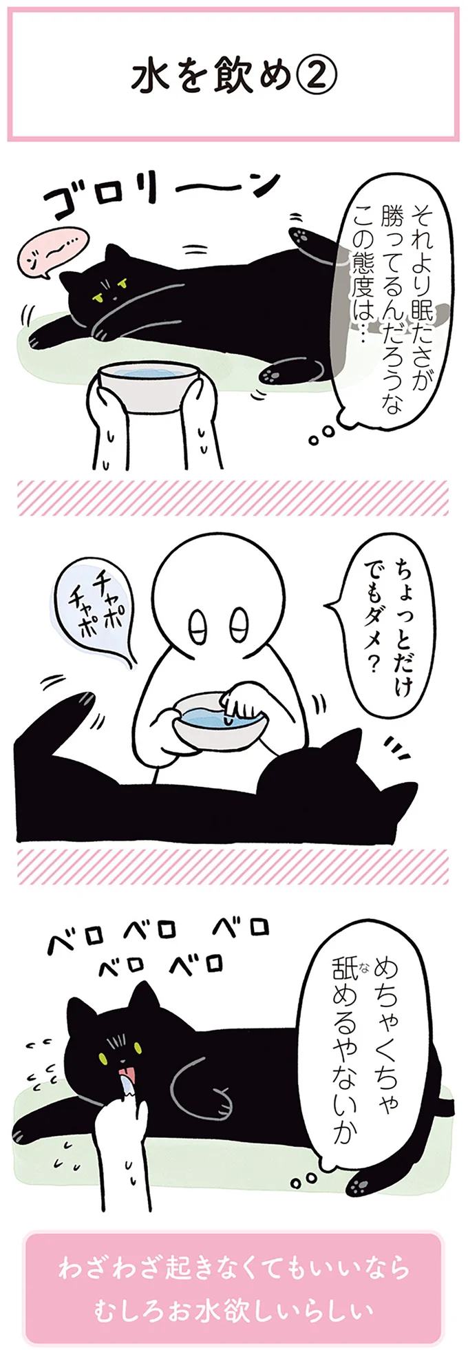 『黒猫ろんと暮らしたら２』より