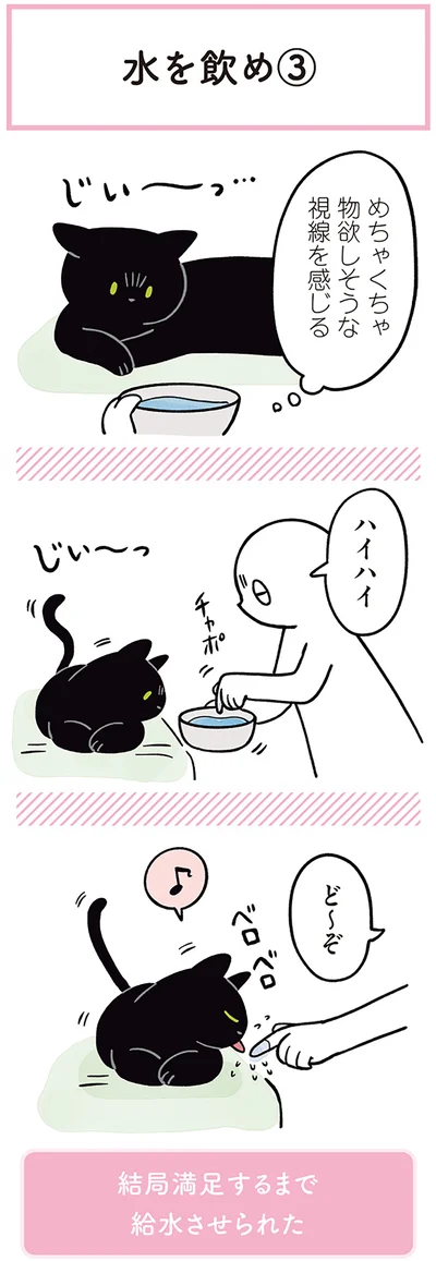 『黒猫ろんと暮らしたら２』より