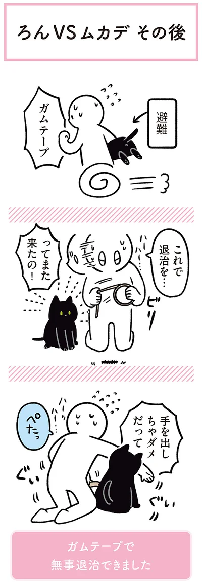 『黒猫ろんと暮らしたら２』より
