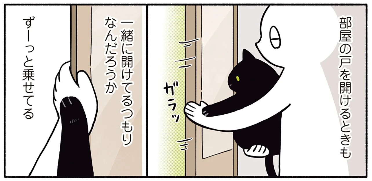 なんでも一緒に！飼い主と手を重ねる黒猫ろんの愛しいクセ - レタスクラブ
