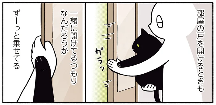 なんでも一緒に！飼い主と手を重ねる黒猫ろんの愛しいクセ