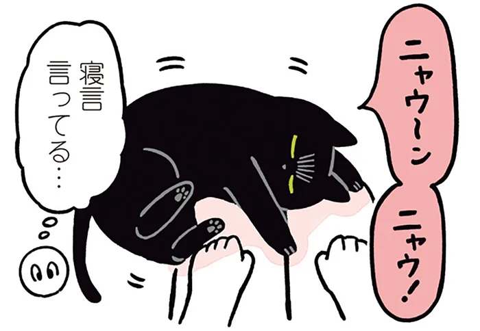 どんな夢を見ている？寝ぼけながら飼い主の足をける黒猫ろん
