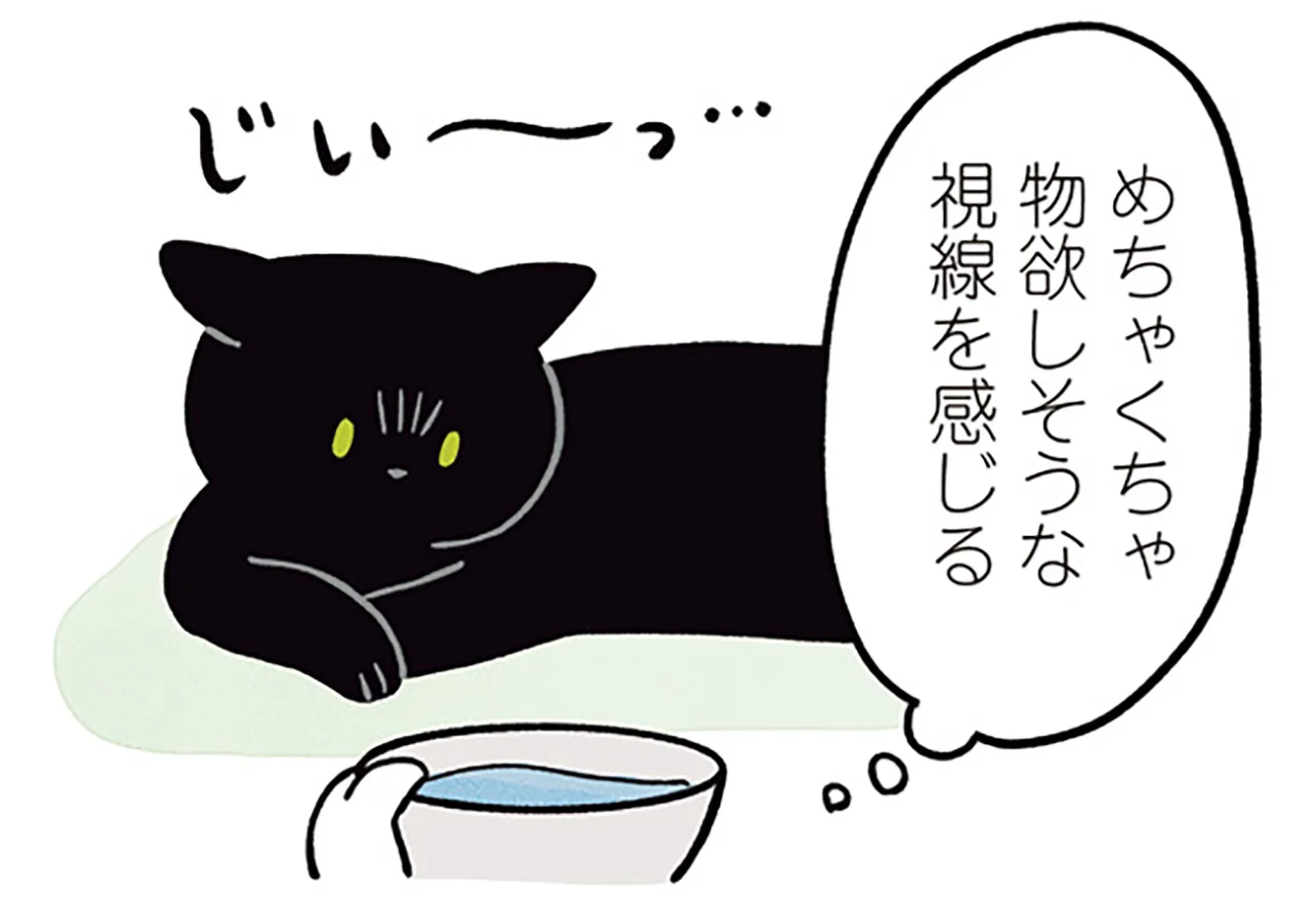 できれば自分で飲んで欲しい！水を飲ませたい飼い主と眠たい黒猫ろんの