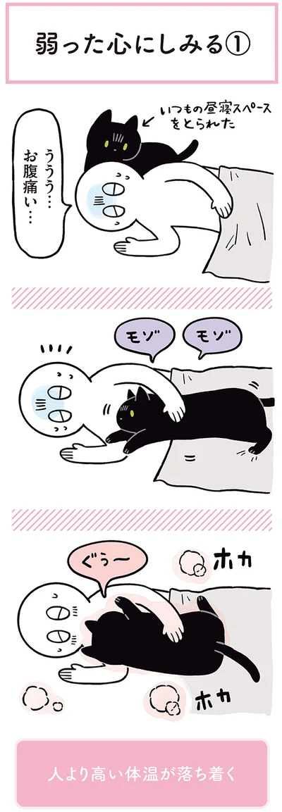 ううう…　お腹痛い…