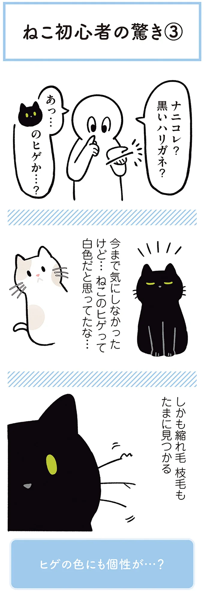 ナニコレ？黒いハリガネ？