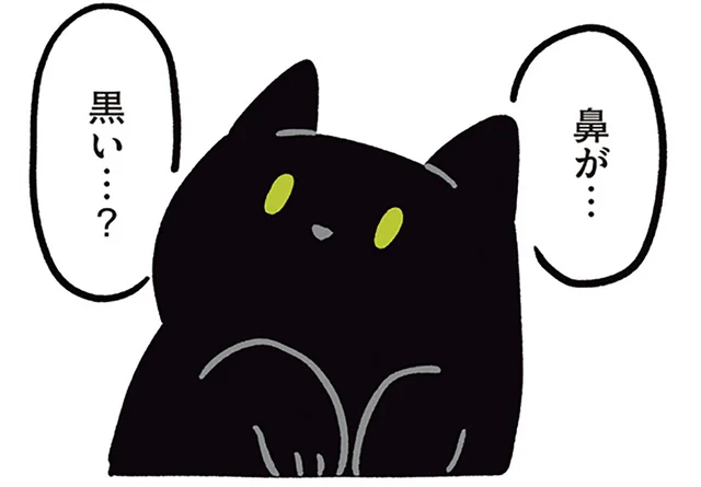 お鼻も肉球も黒い。猫初心者だった飼い主が気づいた、黒猫ろんの個性