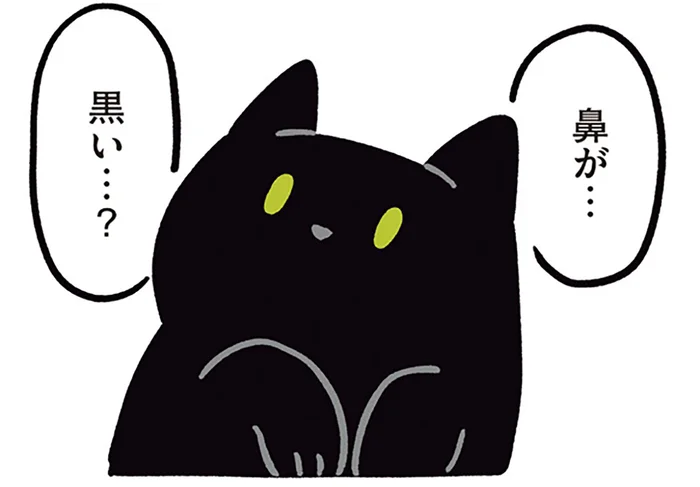 お鼻も肉球も黒い。猫初心者だった飼い主が気づいた、黒猫ろんの個性