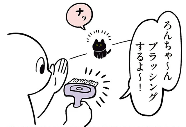 定位置で待機完了！ブラッシングに協力的すぎる黒猫ろん