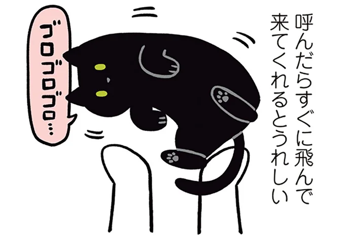 来ても来なくてもうれしい？飼い主の呼びかけに反応する黒猫ろん