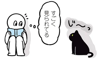 すごく見られてる