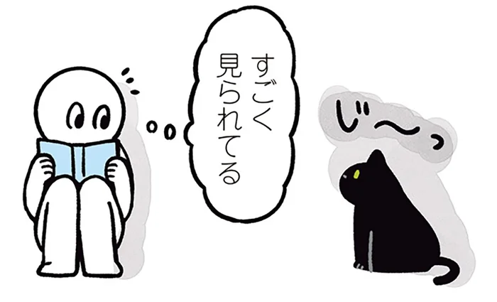 飼い主の言葉にあわせてる？「にゃ？」「ニャ！」で意思疎通する黒猫ろん