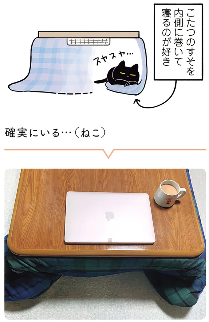 確実にいる…(ねこ)