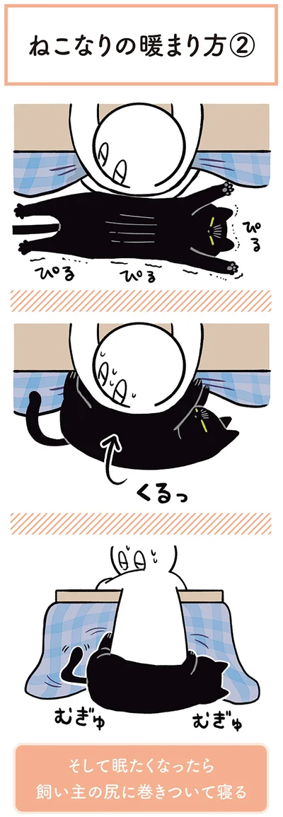 飼い主の尻に巻きついて寝る