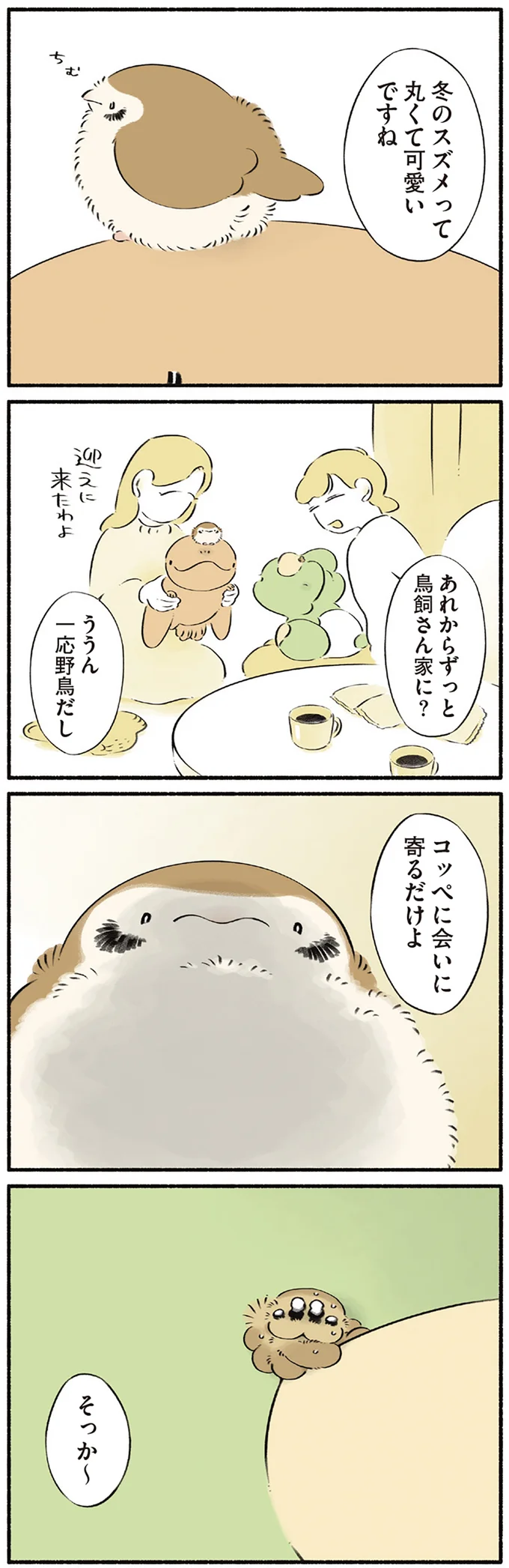 冬のスズメって丸くて可愛いですね