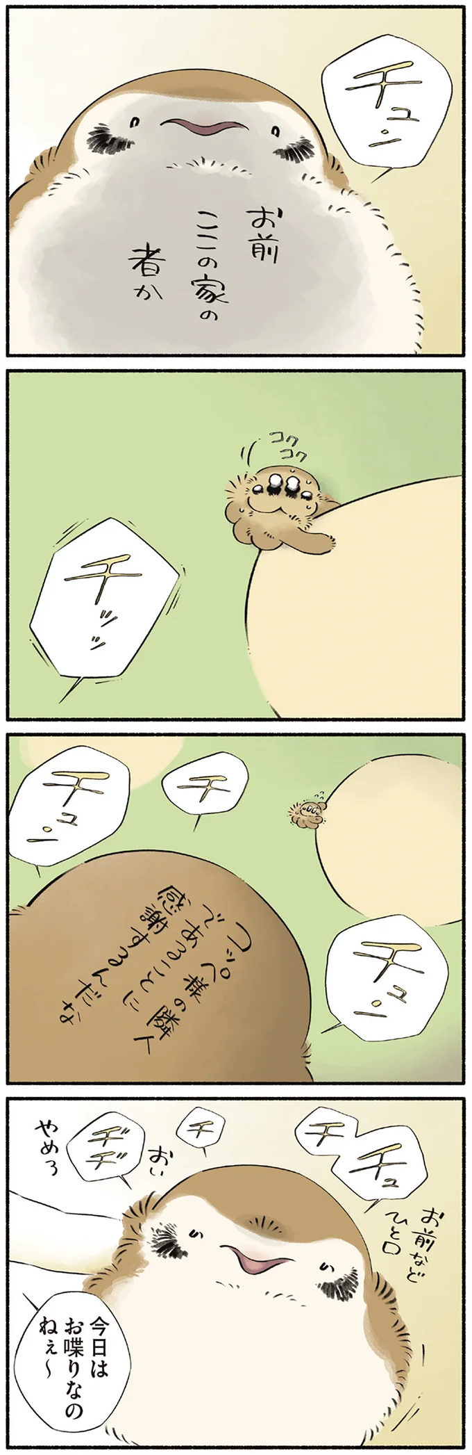 お前ここの家の者か