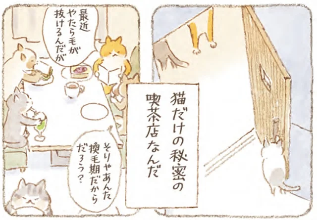 「猫しかいないがゆっくりしていけ」昼は普通の喫茶店が、夜は猫が集まる秘密の喫茶店に！