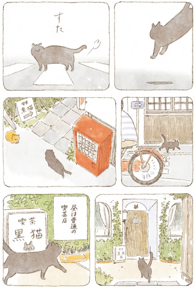 昼は普通の喫茶店