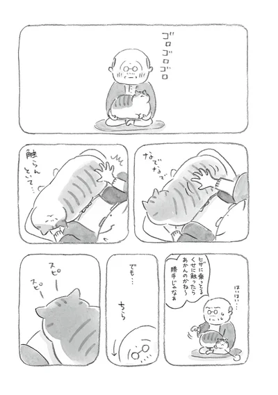 『ねことじいちゃん』より