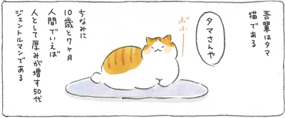 吾輩はタマ、猫である