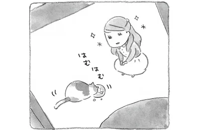 猫にご飯をあげる女性