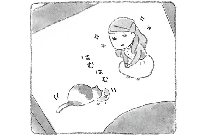 豆ごはんを炊くたびに思い出す。猫がつないだ夫婦の出会い／ねことじいちゃん1（3）