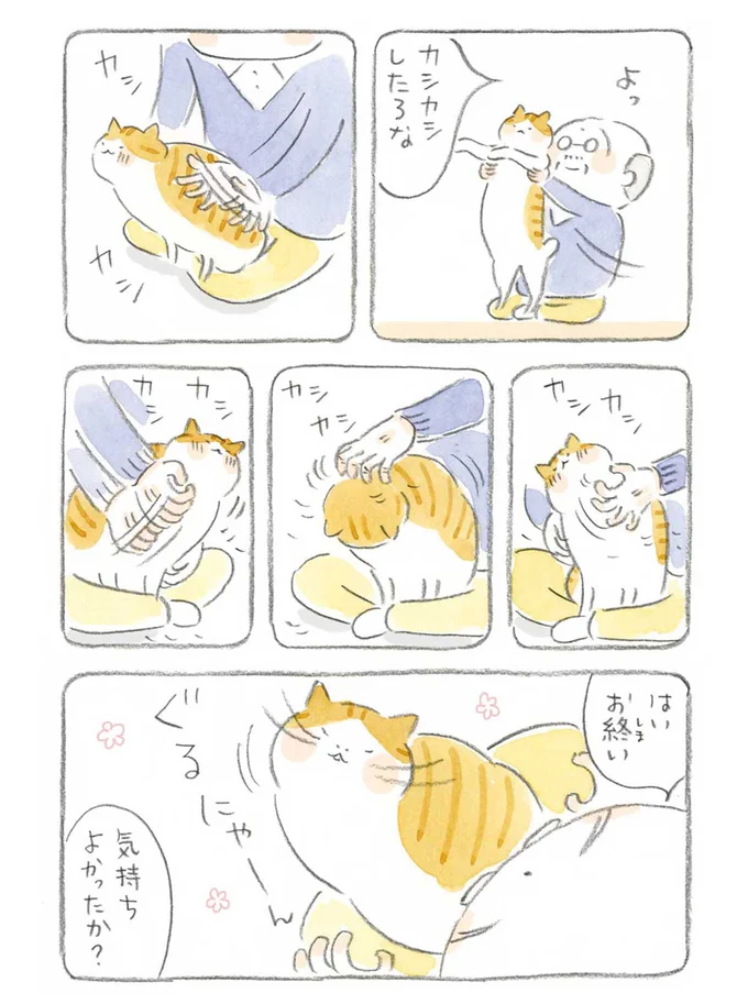  カシカシしたろな