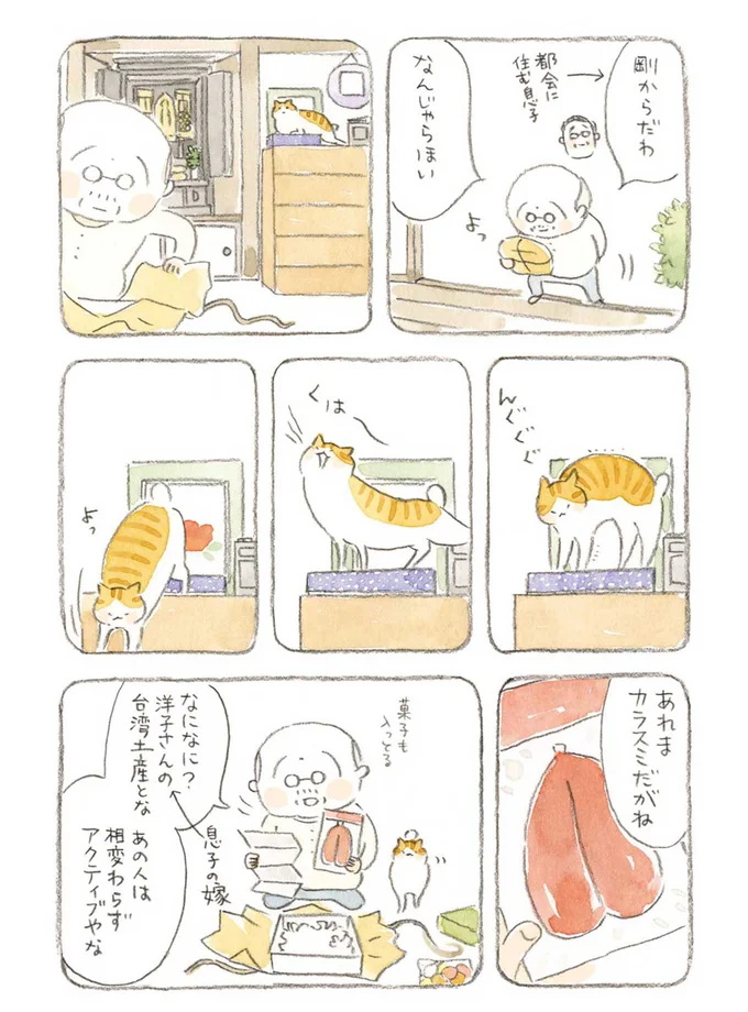 なんじゃらほい