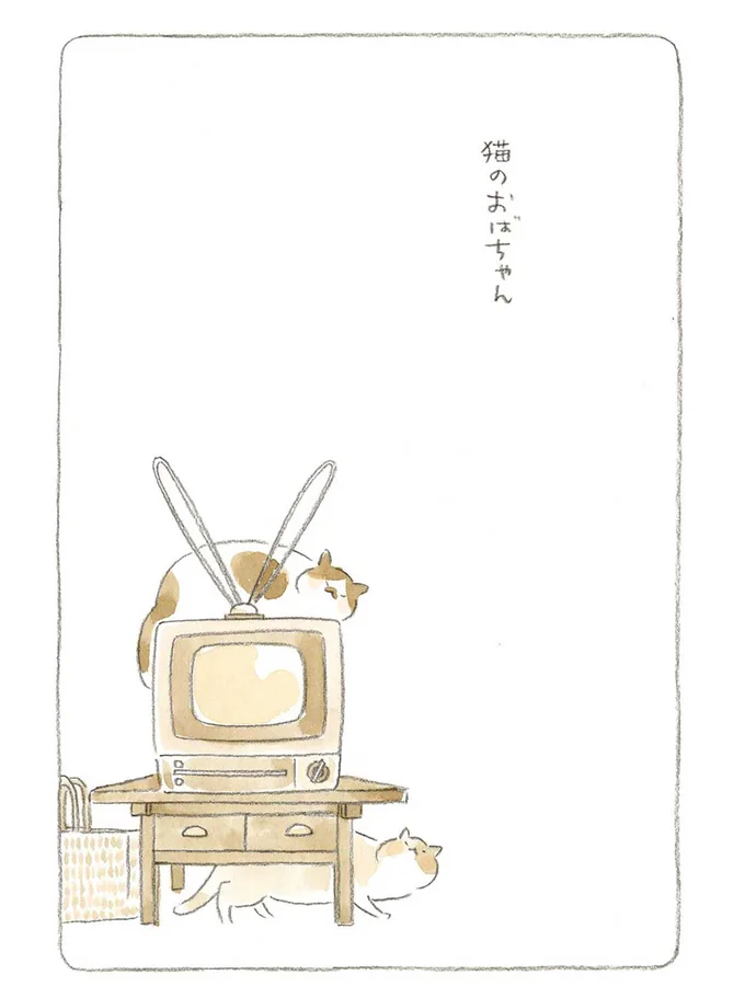 猫のおばちゃん