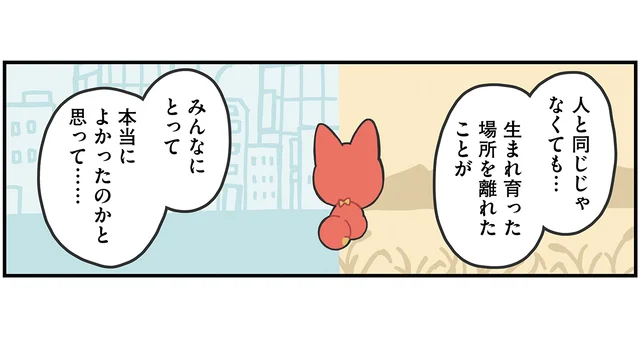 環境が変わって不便はしてない？ かみさまキツネは引っ越さないほうが良かったのかな