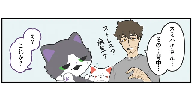まるでトカゲのしっぽ。猫又の背中にハゲができている理由はケンカ？