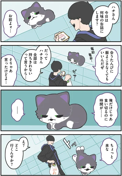 今日は何味の缶詰にします？