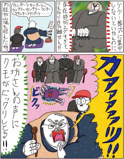 クモから目が離せん！！