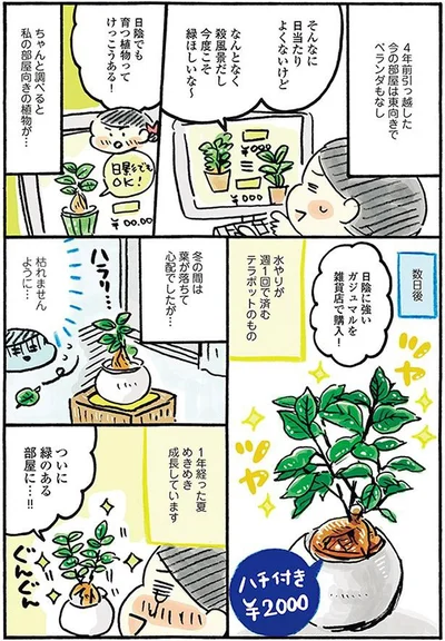 『おひとりさまのゆたかな年収200万生活』より