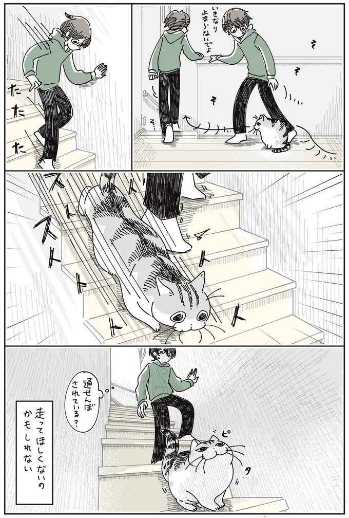 通せんぼされている？