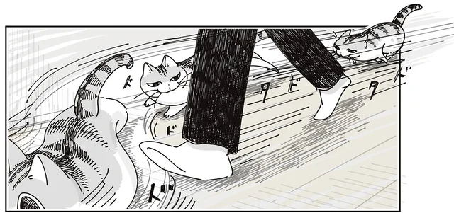 足元に走ってきて「ピタッ」！ 真顔のままの猫、いきなり止まらないで欲しい