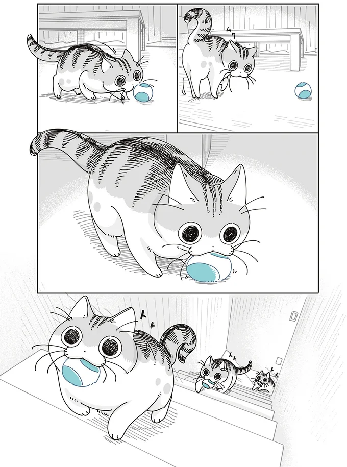 『夜は猫といっしょ8』より