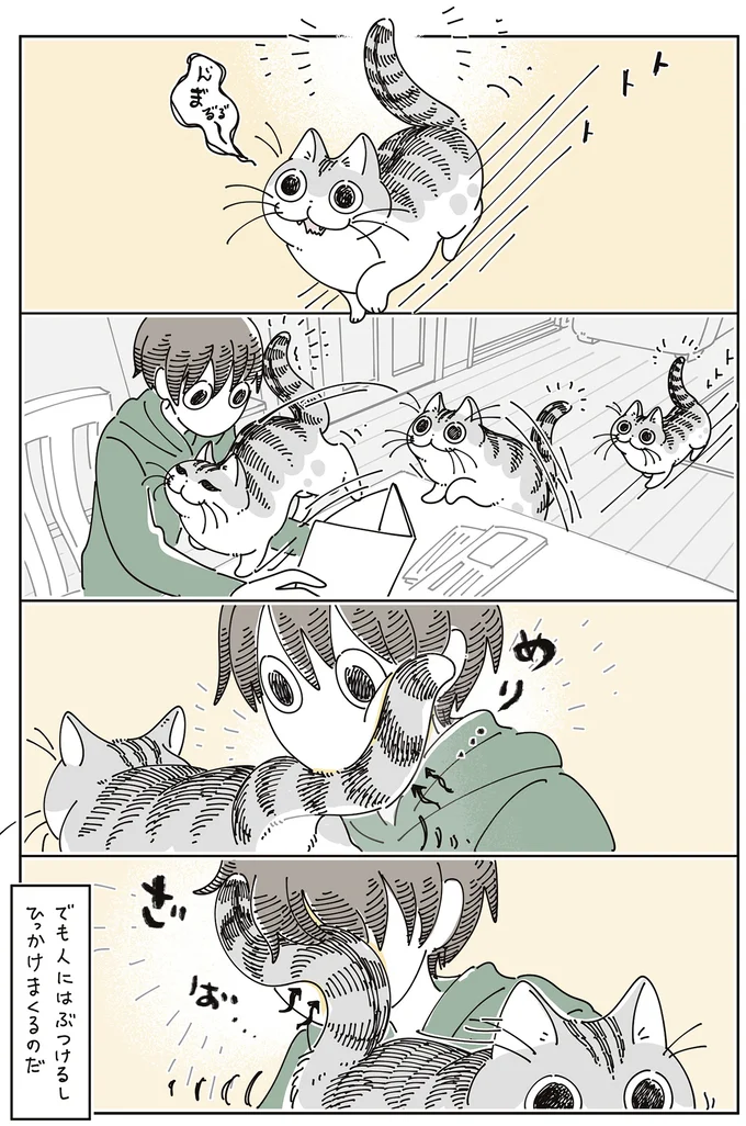 『夜は猫といっしょ8』より