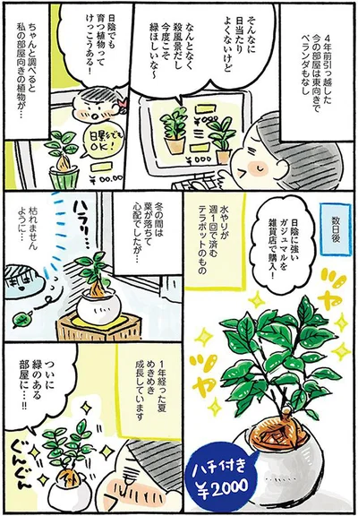 ついに緑のある部屋に…！