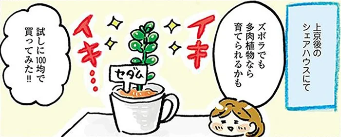 何度も枯らした私がリベンジ！「自宅で育てられる植物」を調べてみた