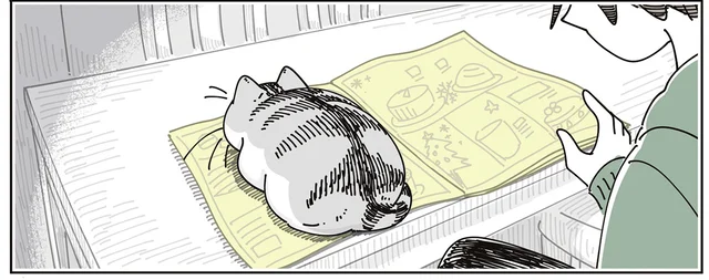 チラシの上に陣取る猫。そこまで邪魔じゃないのでそのままにしていたら