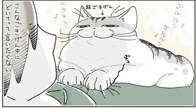 ごきげんな猫