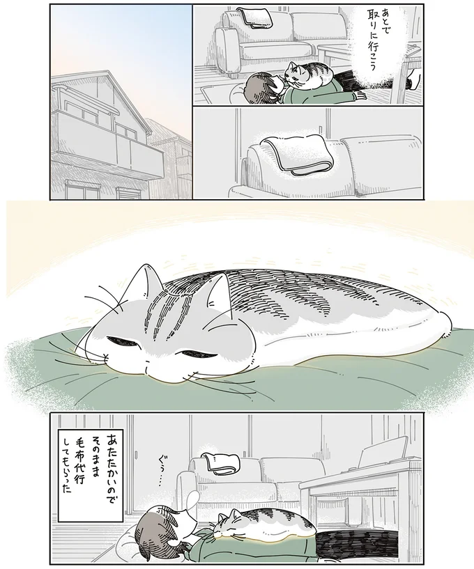 あたたかいので