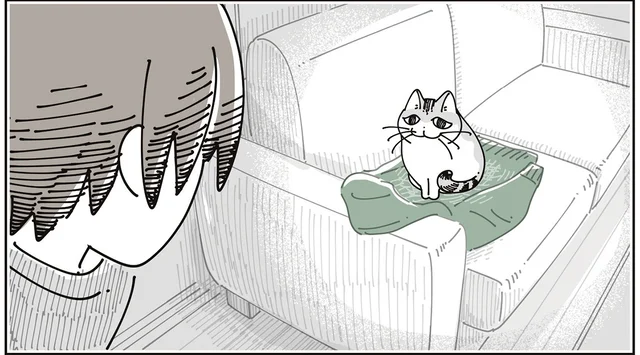 わあ、毛だらけだ。ソファの上に脱いだ服を置いておいたら