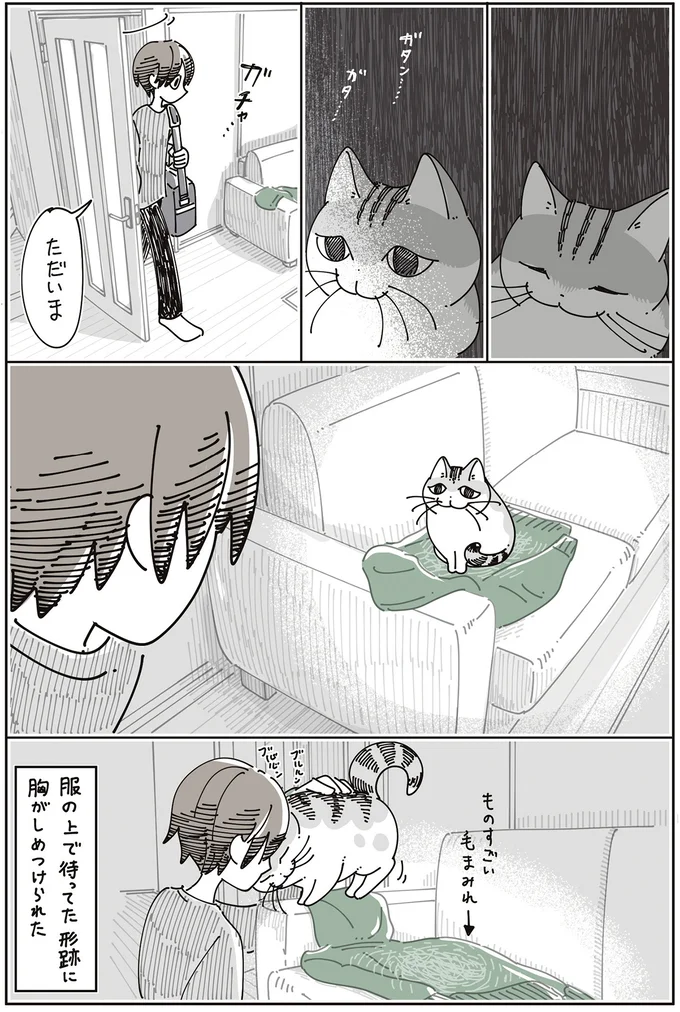 ものすごい毛まみれ