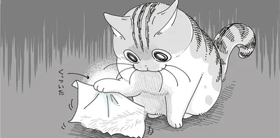 コロコロが手に…