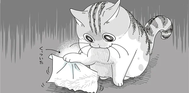 コロコロ VS 猫！ 前足にくっついて取れなくなった猫の行動