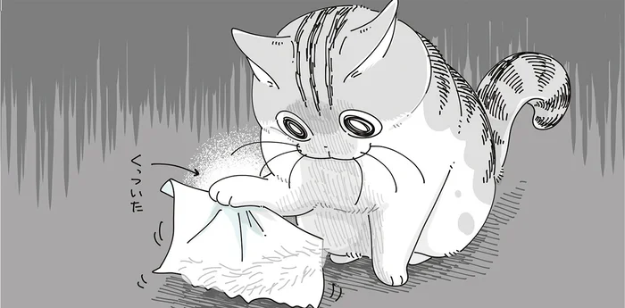 コロコロ VS 猫！ 前足にくっついて取れなくなった猫の行動