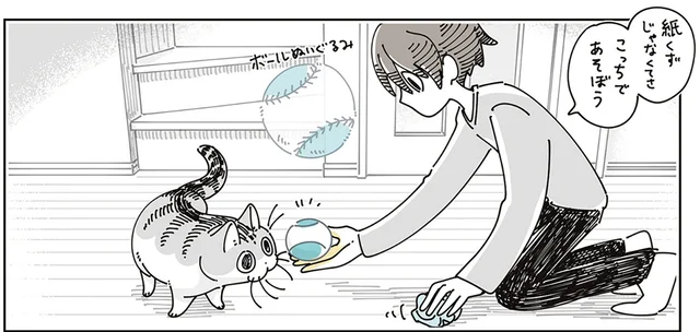 熱量が違いすぎるなぁ。ちゃんとしたおもちゃよりも紙くずが猫に選ばれたとき